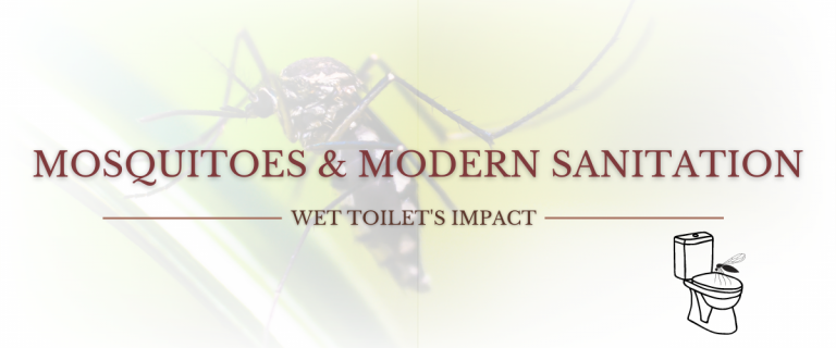 Mosquitoes and Modern Sanitation | Mudhive Collective